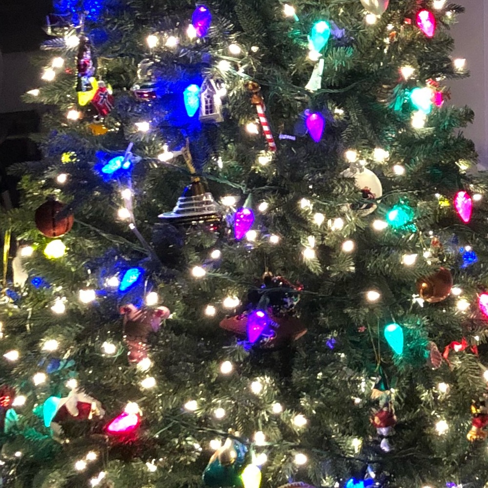 Meet your Posher, Jayne